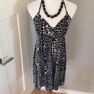 Express Halter Cheetah Print Dress